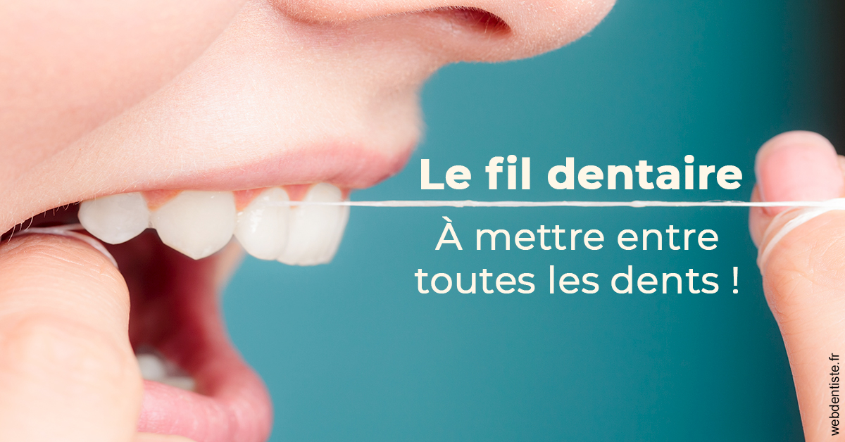 https://dr-landreau-franck.chirurgiens-dentistes.fr/Le fil dentaire 2