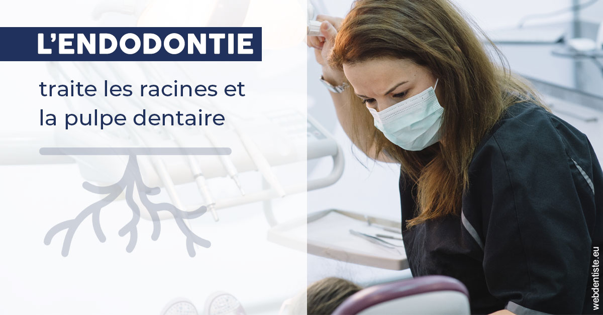 https://dr-landreau-franck.chirurgiens-dentistes.fr/L'endodontie 1