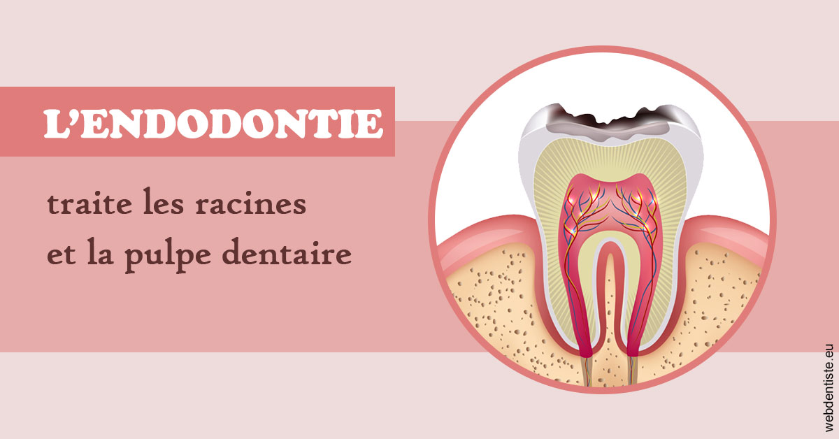 https://dr-landreau-franck.chirurgiens-dentistes.fr/L'endodontie 2