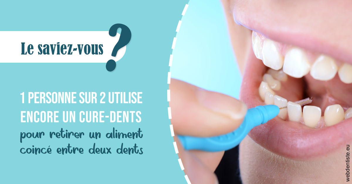 https://dr-landreau-franck.chirurgiens-dentistes.fr/Cure-dents 1