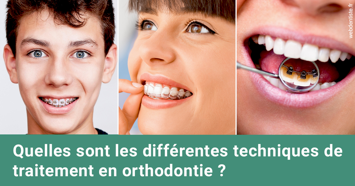 https://dr-landreau-franck.chirurgiens-dentistes.fr/Les différentes techniques de traitement 2