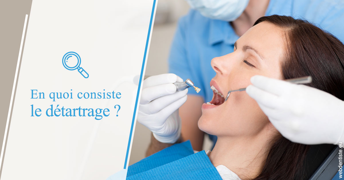 https://dr-landreau-franck.chirurgiens-dentistes.fr/En quoi consiste le détartrage