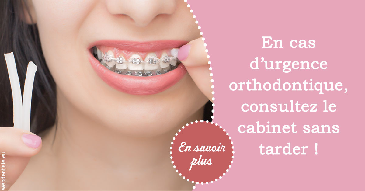 https://dr-landreau-franck.chirurgiens-dentistes.fr/Urgence orthodontique 1